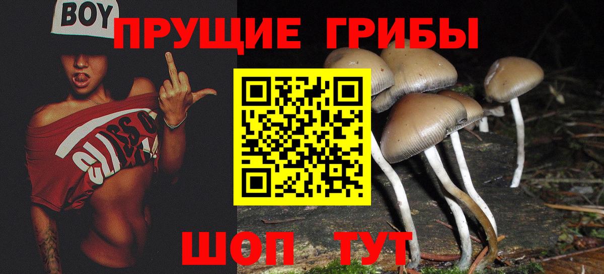 Псилоцибиновые грибы Psilocybe Владивосток